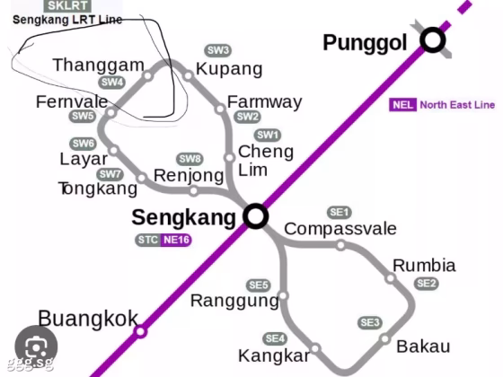 单间出租 • 碧山 •  High Park Residences • S$1200 • 住宅公寓 • 普通房 照片