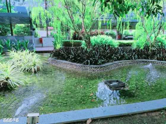 单间出租 • 林厝港 •  The Lakefront Residences • S$1800 • 4房(3臥室) • 主人房 照片