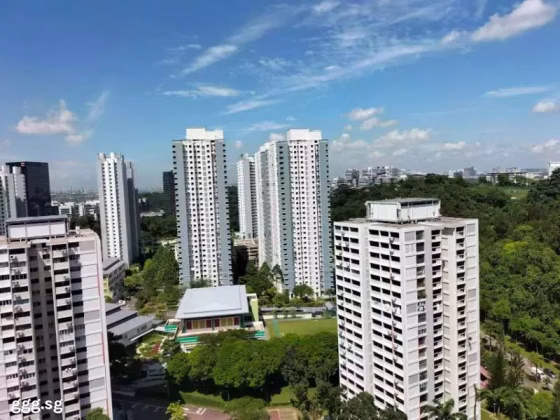 房屋出售 • 金文泰 • 70C Telok Blangah Heights • S$1099999 • 3房(2臥室) • 1001ft² / 92m² 照片
