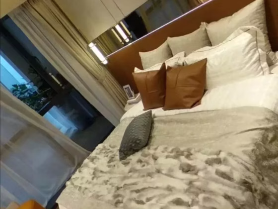 房屋出售 • 新邦 •  Haig Apartments • S$2080000 • 住宅公寓 • 861ft² / 79m² 照片