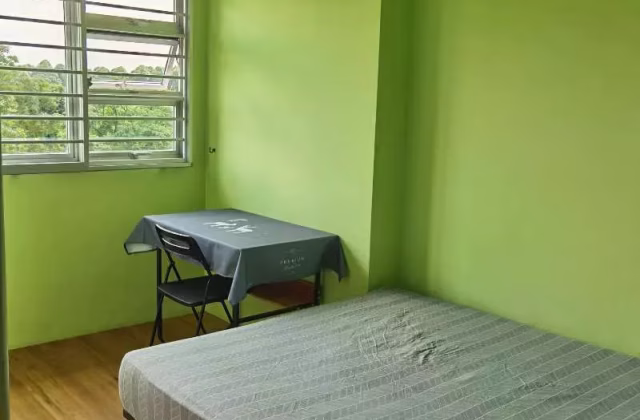 单间出租 • 纽顿 • 117A Jalan Tenteram • S$1200 • 4房(3臥室) • 普通房