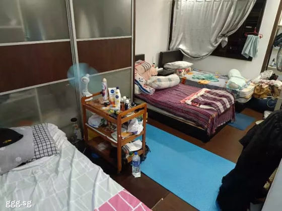 单间出租 • 林厝港 • 609 Jurong West Street 65 • S$1800 • 4房(3臥室) • 主人房 照片