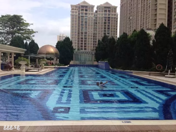 整套出租 • 市中心 •  The Gardens At Bishan • S$4000 • 住宅公寓 • 893ft² / 82m² 照片