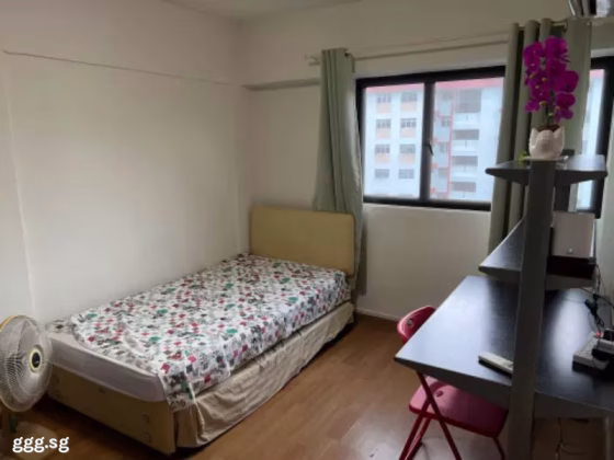 单间出租 • 乌节 • 216 Ang Mo Kio Avenue 1 • S$950 • 3房(2臥室) • 普通房 照片