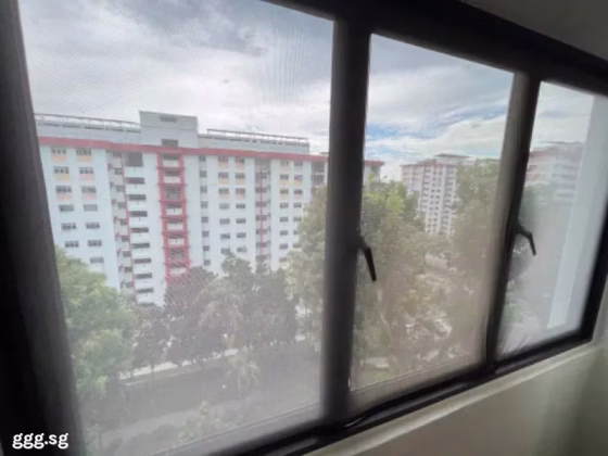 单间出租 • 乌节 • 216 Ang Mo Kio Avenue 1 • S$950 • 3房(2臥室) • 普通房 照片