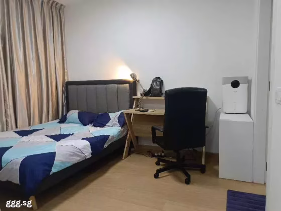 单间出租 • 林厝港 •  The Lakefront Residences • S$2000 • 4房(3臥室) • 主人房 照片