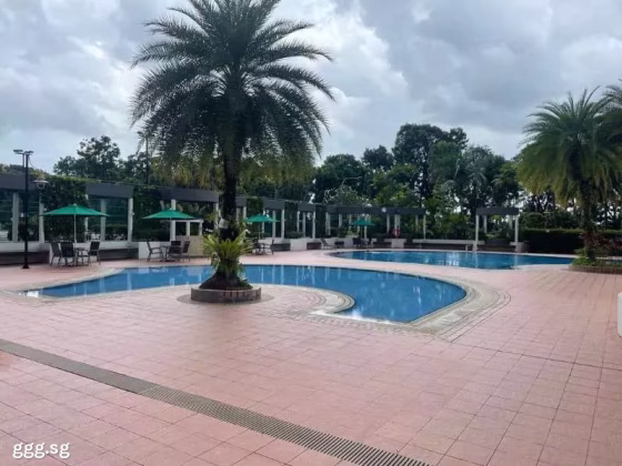 单间出租 • 梧槽 •  Orchid Park Condominium • S$1000 • 住宅公寓 • 普通房 照片