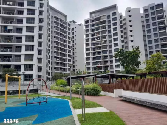 单间出租 • 梧槽 • 347B Yishun Avenue 11 • S$900 • 5房(4臥室) • 主人房 照片