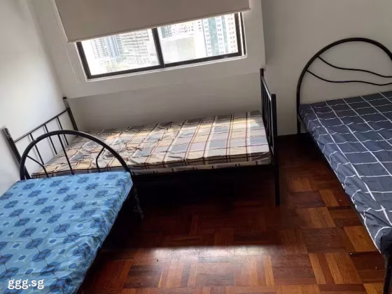 单间出租 • 碧山 •  Compass Heights • S$550 • 住宅公寓 • 普通房 照片
