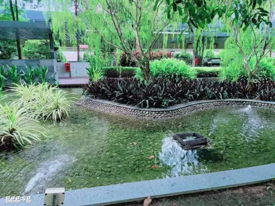 单间出租 • 林厝港 •  Lakepoint Condo • S$1800 • 共管公寓 • 主人房 照片