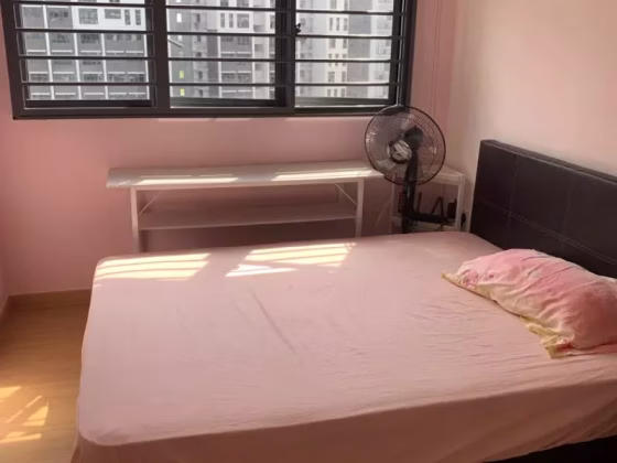 单间出租 • 碧山 • 175B Sengkang East Drive • S$1100 • 5房(4臥室) • 普通房 照片