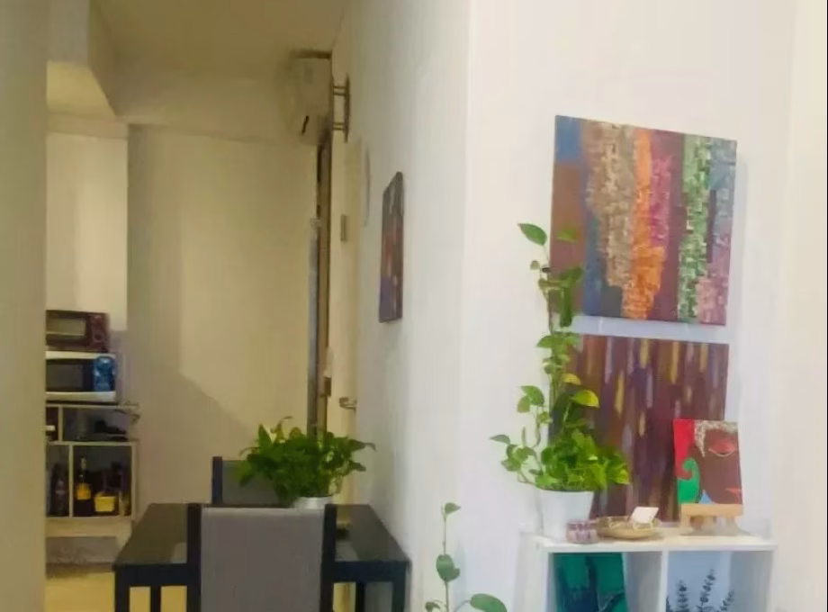 整套出租 • 淡滨尼 •  Robinson Suites • S$4200 • 共管公寓 • 603ft² / 56m² 照片