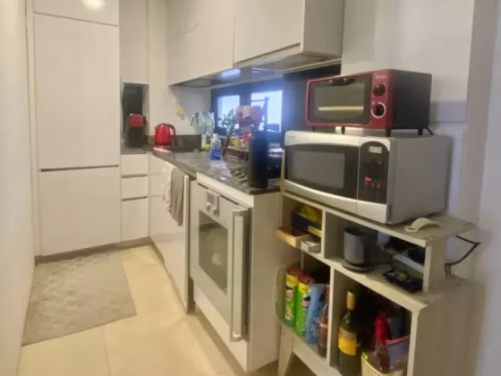 整套出租 • 淡滨尼 •  Robinson Suites • S$4200 • 共管公寓 • 603ft² / 56m² 照片