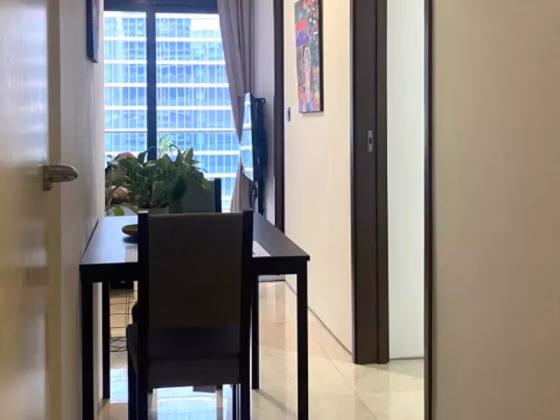 整套出租 • 淡滨尼 •  Robinson Suites • S$4200 • 共管公寓 • 603ft² / 56m² 照片