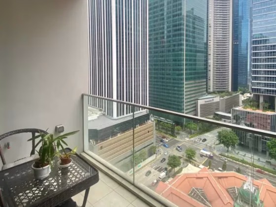 整套出租 • 淡滨尼 •  Robinson Suites • S$4200 • 共管公寓 • 603ft² / 56m² 照片