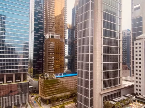 整套出租 • 淡滨尼 •  Robinson Suites • S$4200 • 共管公寓 • 603ft² / 56m² 照片