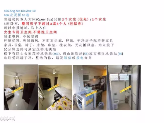 单间出租 • 乌节 • 466 Ang Mo Kio Avenue 10 • S$0 • 4房(3臥室) • 普通房 照片