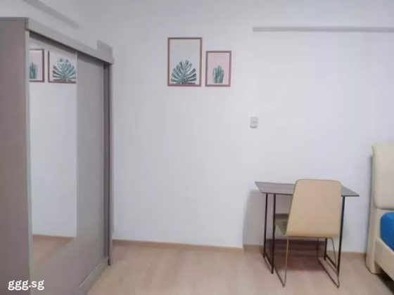 单间出租 • 市中心 •  Lakeview Estate • S$2000 • 住宅公寓 • 普通房 照片