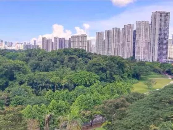 单间出租 • 蔡厝港 • 82 Commonwealth Close • S$1300 • 3房(2臥室) • 主人房 照片