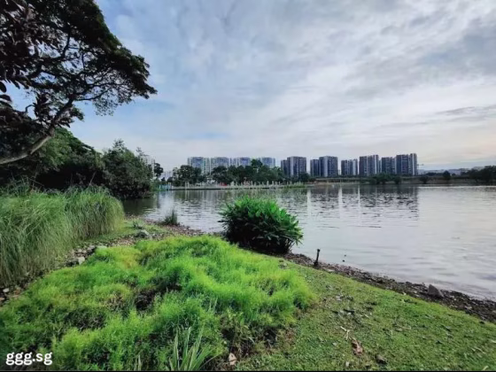 单间出租 • 林厝港 •  The Lakeshore • S$1600 • 共管公寓 • 主人房 照片
