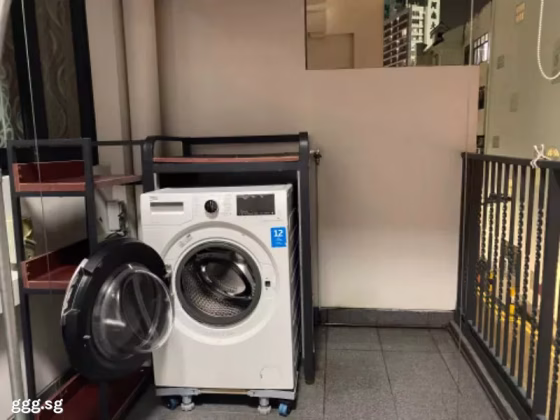 整套出租 • 博物馆 •  Le Somme • S$3600 • 住宅公寓 • 506ft² / 47m² 照片