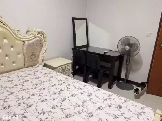 单间出租 • 樟宜 • 170A Punggol Field • S$900 • 4房(3臥室) • 普通房 照片