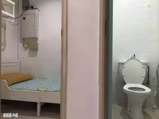 单间出租 • 芽笼 •  Northvale • S$650 • 住宅公寓 • 佣人房 照片