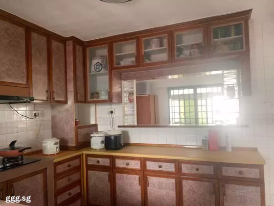 房屋出售 • 林厝港 • 737 Jurong West Street 75 • S$568888 • 3房(2臥室) • 1141ft² / 106m² 照片