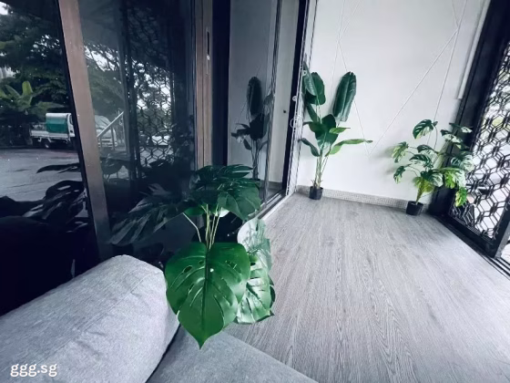 单间出租 • 中央集水区 • UPPER PAYA LEBAR ROAD (534941) • S$750 • 联排排屋 • 普通房 照片