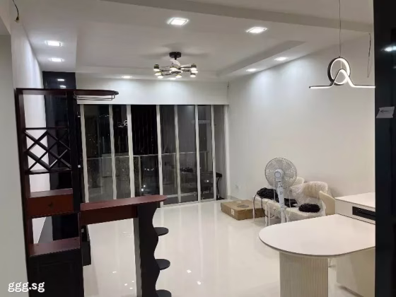 整套出租 • 林厝港 •  The Centris • S$5200 • 住宅公寓 •  照片