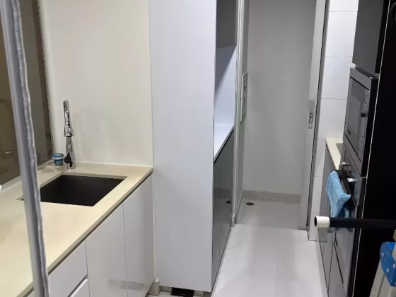整套出租 • 林厝港 •  The Centris • S$5200 • 住宅公寓 •  照片
