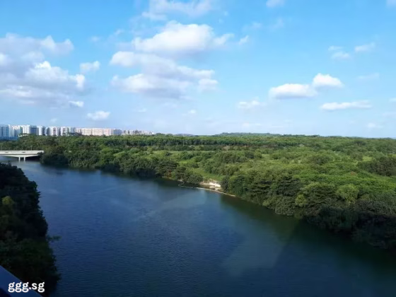 整套出租 • 新加坡河 •  Kingsford Waterbay • S$3500 • 住宅公寓 • 689ft² / 64m² 照片