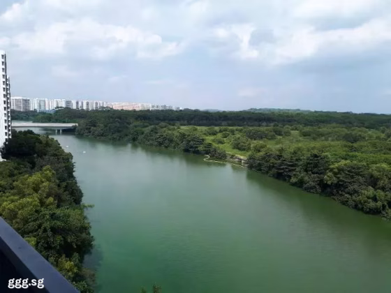 整套出租 • 新加坡河 •  Kingsford Waterbay • S$3500 • 住宅公寓 • 689ft² / 64m² 照片