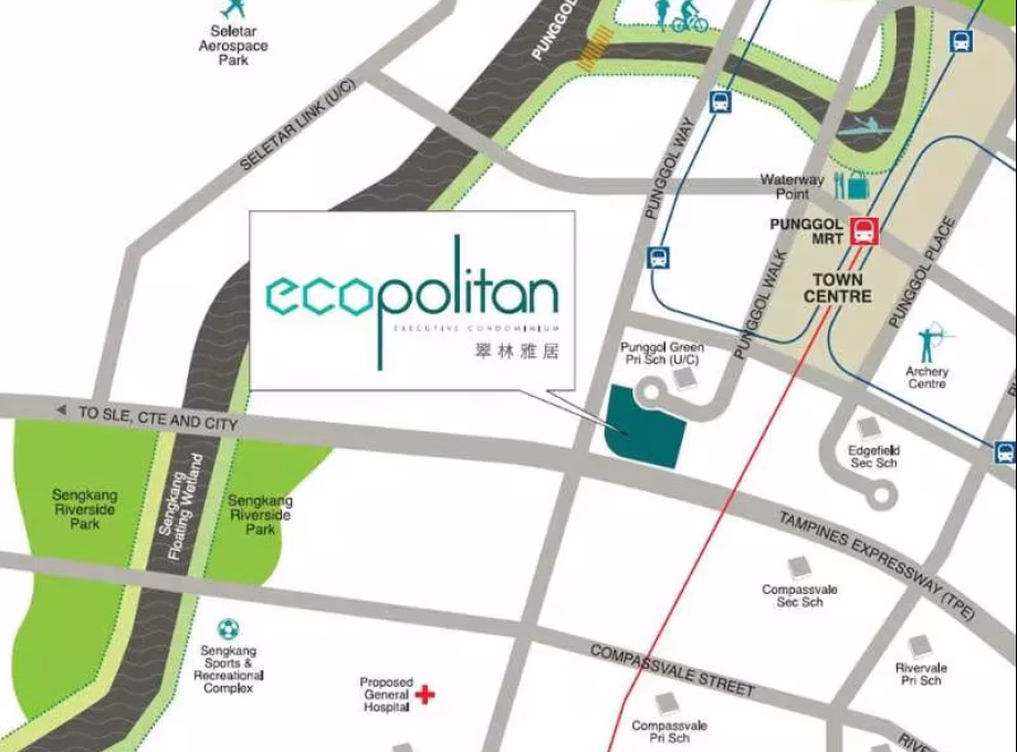 单间出租 • 樟宜 •  Ecopolitan • S$950 • 共管公寓 • 普通房 照片