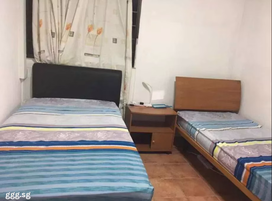 单间出租 • 武吉知马 • 504 Bedok North Street 3 • S$400 • 3房(2臥室) • 床位出租 照片