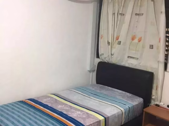 单间出租 • 武吉知马 • 504 Bedok North Street 3 • S$400 • 3房(2臥室) • 床位出租 照片