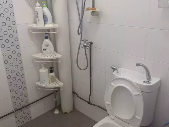 单间出租 • 市中心 • 127 Bishan Street 12 • S$0 • 4房(3臥室) • 普通房 照片