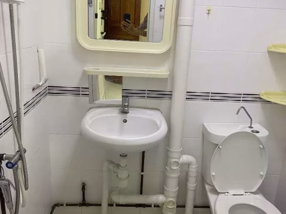 整套出租 • 中央集水区 • 236 Serangoon Avenue 3 • S$3500 • 3房(2臥室) •  照片