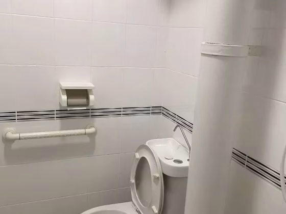 整套出租 • 中央集水区 • 236 Serangoon Avenue 3 • S$3500 • 3房(2臥室) •  照片