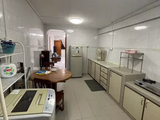 整套出租 • 中央集水区 • 236 Serangoon Avenue 3 • S$3500 • 3房(2臥室) •  照片