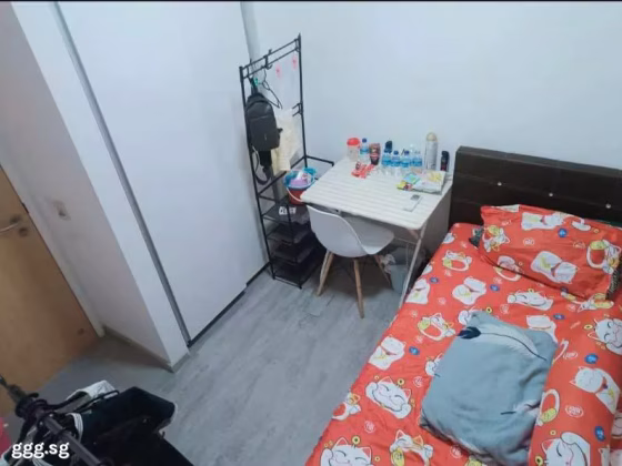 单间出租 • 林厝港 •  The Lakefront Residences • S$1300 • 共管公寓 • 普通房 照片