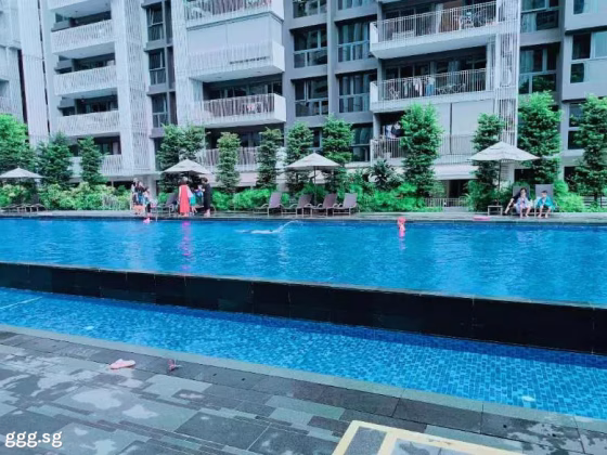 单间出租 • 林厝港 •  The Lakefront Residences • S$1300 • 共管公寓 • 普通房 照片