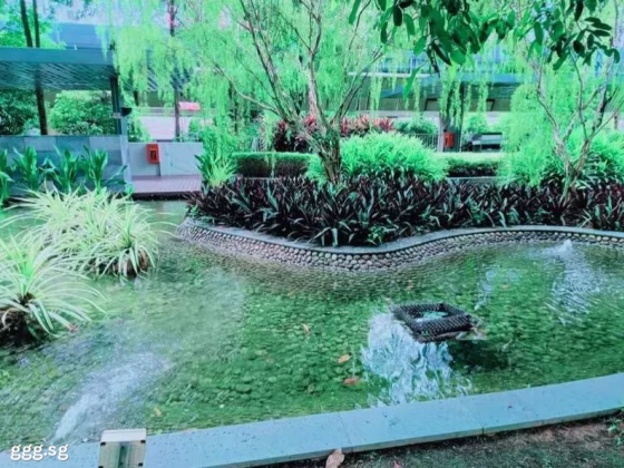 单间出租 • 林厝港 •  The Lakefront Residences • S$1300 • 共管公寓 • 普通房 照片
