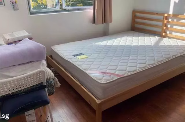 单间出租 • 红山 •  Springdale Condo • S$1300 • 共管公寓 • 普通房