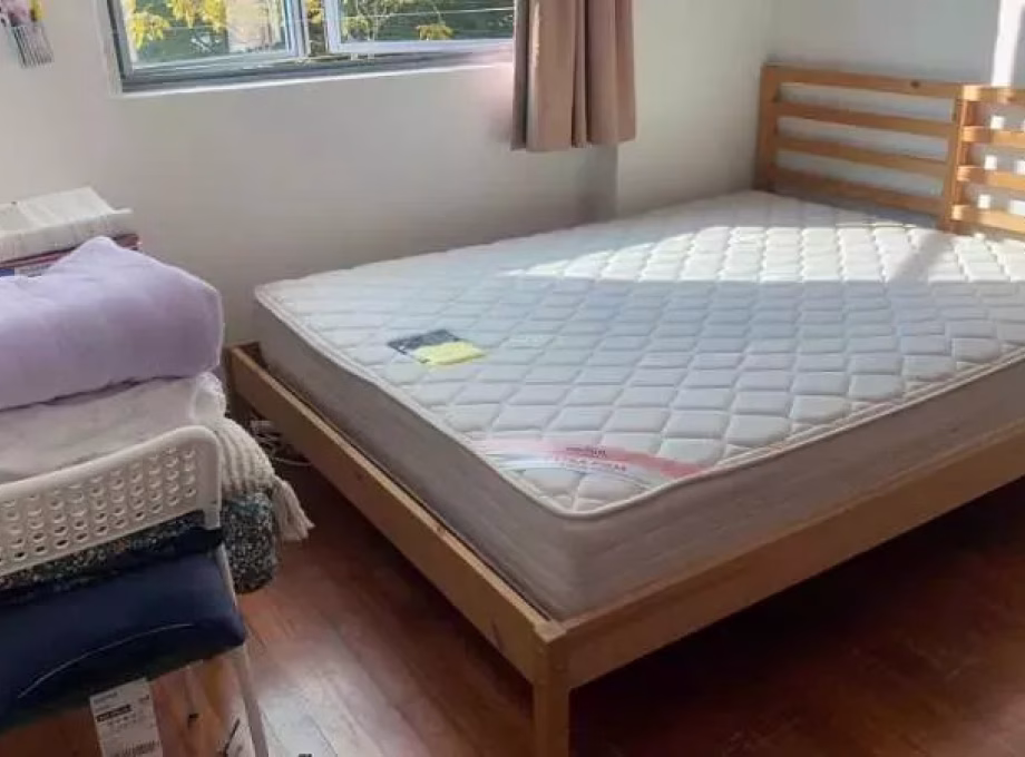 单间出租 • 红山 •  Springdale Condo • S$1300 • 共管公寓 • 普通房 照片