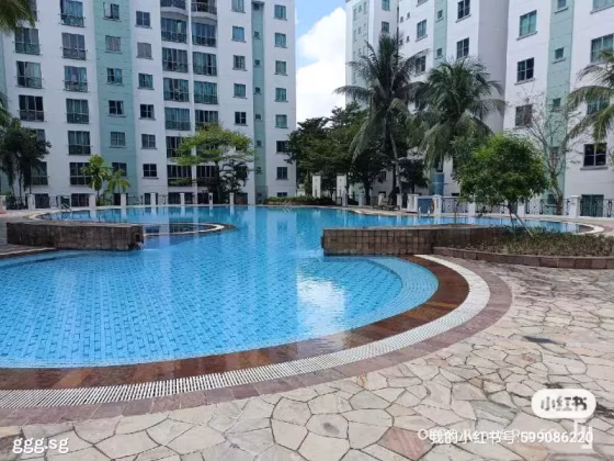 单间出租 • 红山 •  Springdale Condo • S$1300 • 共管公寓 • 普通房 照片