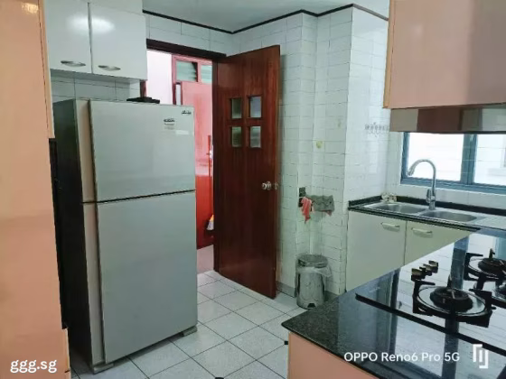 单间出租 • 红山 •  Springdale Condo • S$1300 • 共管公寓 • 普通房 照片