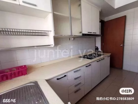 单间出租 • 欧南 •  Canberlin Lodge • S$1600 • 住宅公寓 • 主人房 照片
