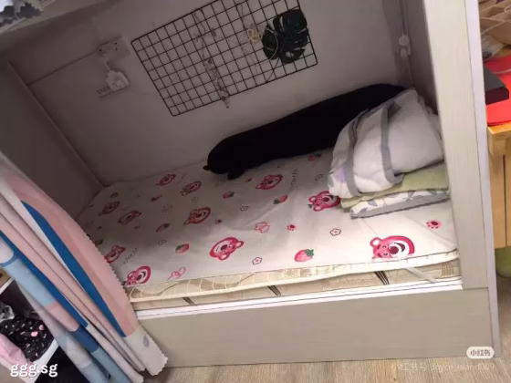 单间出租 • 马林百列 • 234 Lorong 8 Toa Payoh • S$500 • 3房(2臥室) • 床位出租 照片
