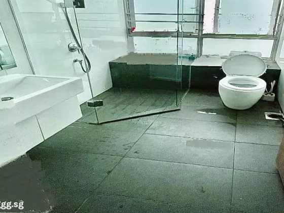 单间出租 • 新邦 •  Moda • S$1500 • 住宅公寓 • 普通房 照片
